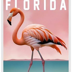 Florida Flamigo #1